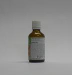 e-shop zdarma